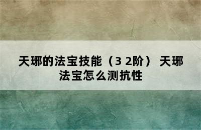 天琊的法宝技能（3+2阶） 天琊法宝怎么测抗性